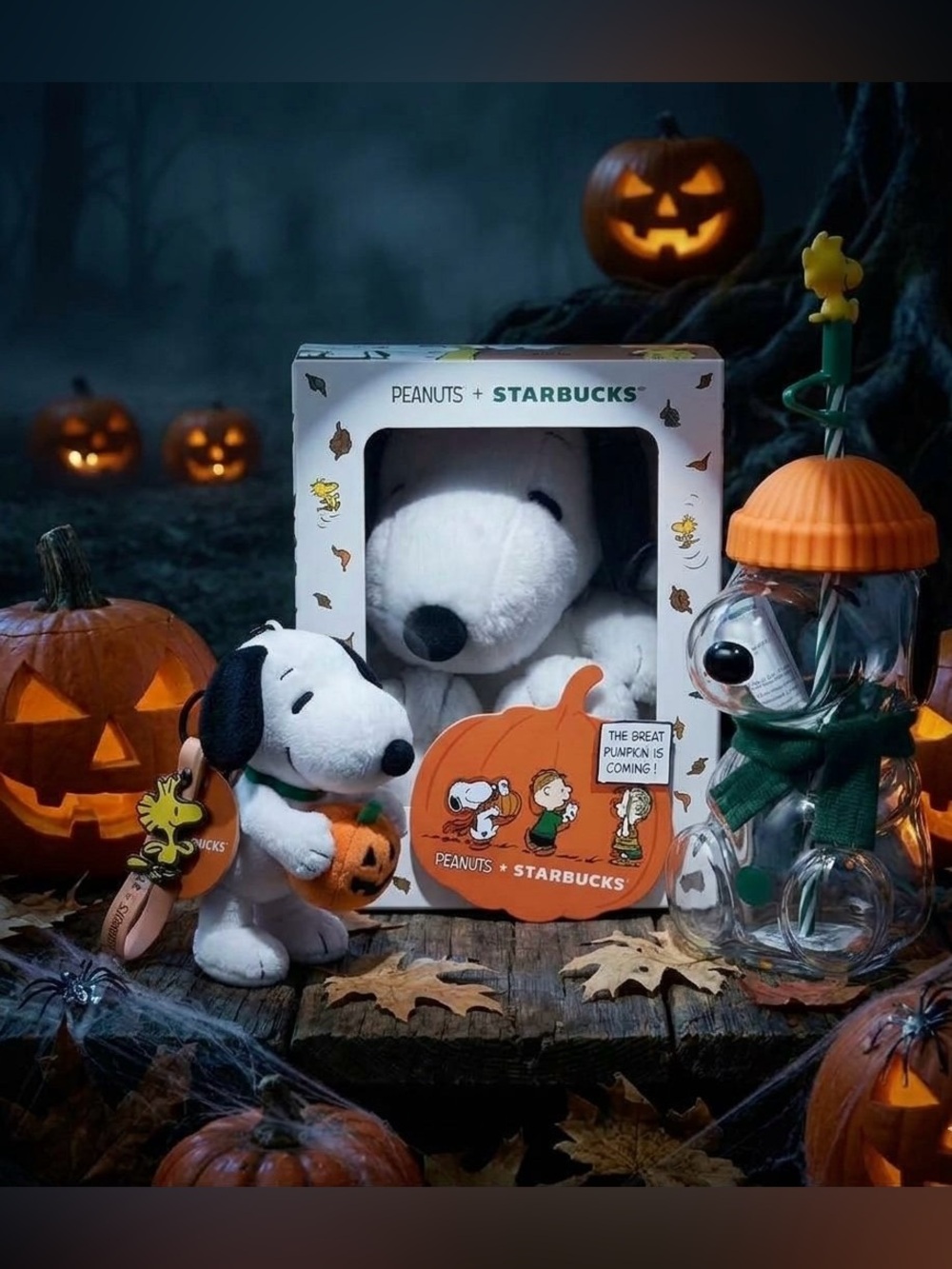 🔥🎃Peanuts x Starbucks bundle
